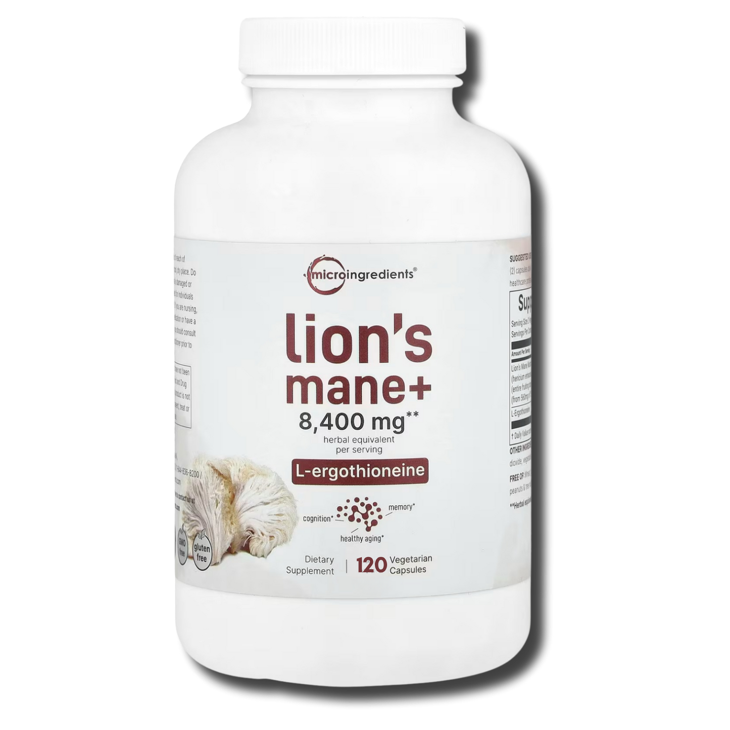 LION'S MANE